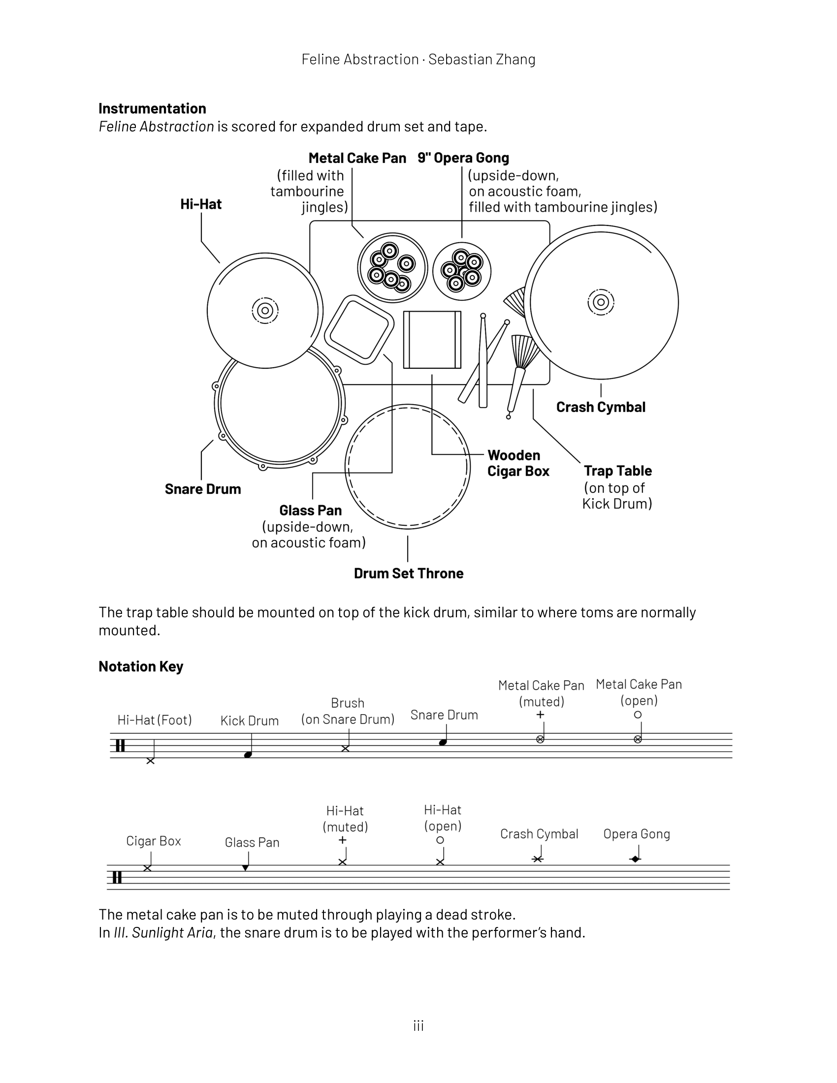 Feline Abstraction Page iii
